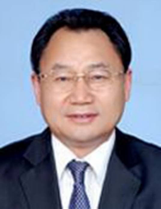 陈天会（湖北省慈善总会会长）