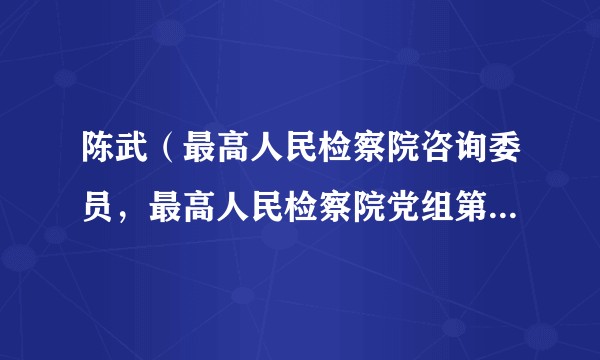 陈武（最高人民检察院咨询委员，最高人民检察院党组第五轮巡视第五巡视组组长）