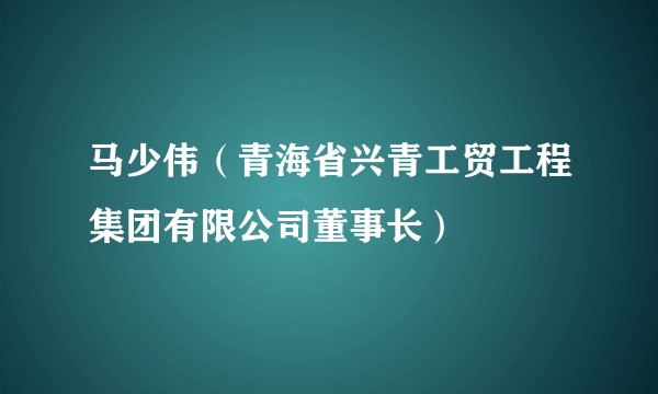 马少伟（青海省兴青工贸工程集团有限公司董事长）