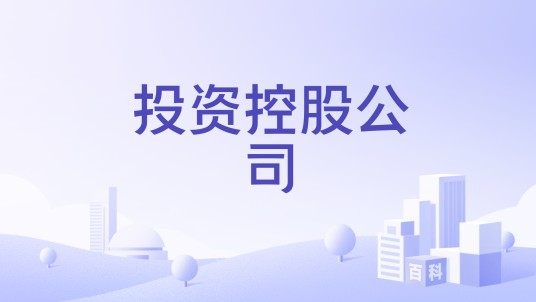 投资控股公司