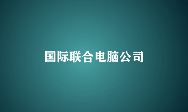 国际联合电脑公司