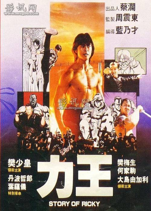 力王（香港1992年蓝乃才执导的动作片）