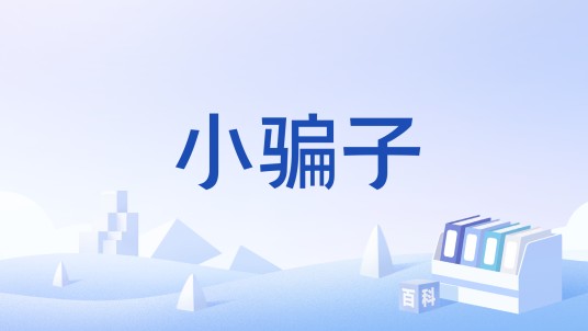 小骗子（名词）