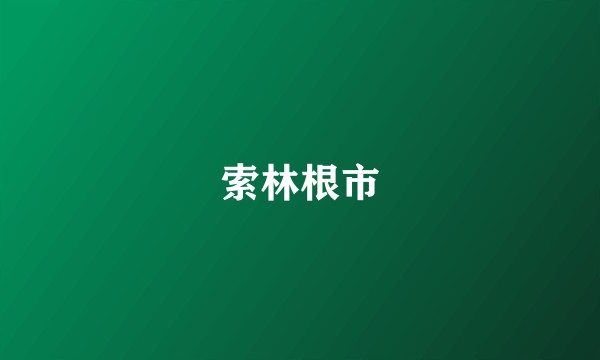 索林根市