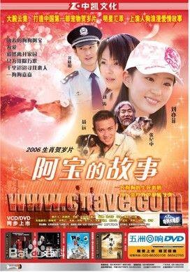 阿宝的故事