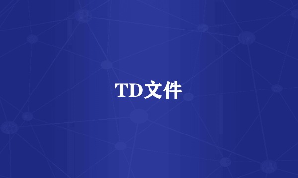 TD文件