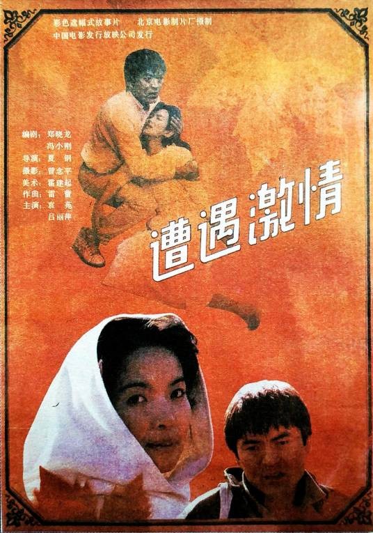 遭遇激情（1991年夏钢执导的电影）