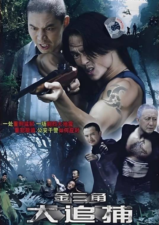 大追捕（2009年中国内地电视剧）