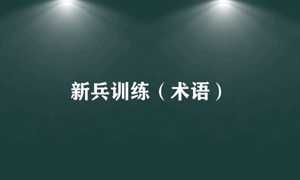 新兵训练（术语）
