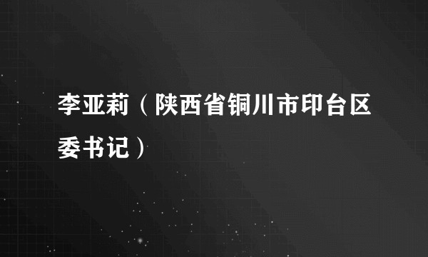 李亚莉（陕西省铜川市印台区委书记）