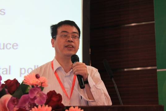 吴宇平（东南大学能源与环境学院动力工程及自动化系首席教授）