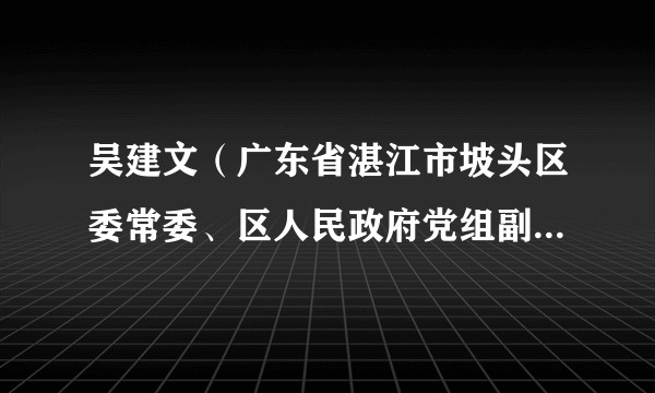 吴建文（广东省湛江市坡头区委常委、区人民政府党组副书记、副区长）