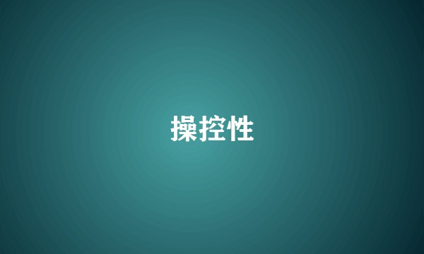 操控性