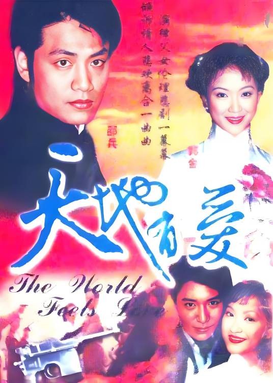 天地有爱(2004年陈鸿烈执导的剧情电视剧)
