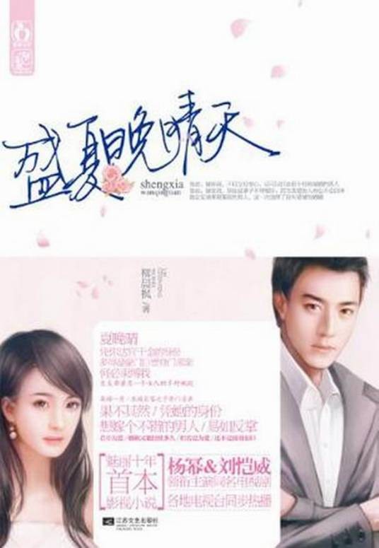 盛夏晚晴天（2013年江苏文艺出版社出版的图书）