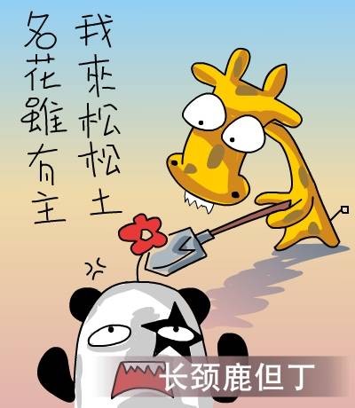 名花虽有主我来松松土