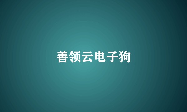 善领云电子狗