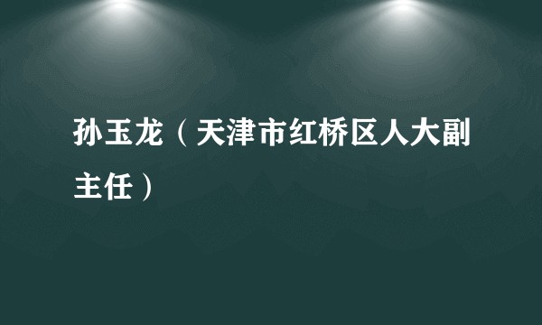 孙玉龙（天津市红桥区人大副主任）