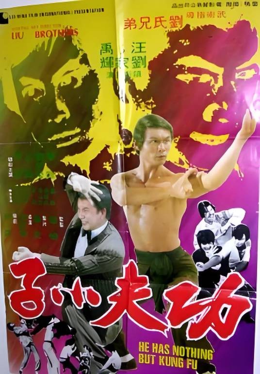 功夫小子（1977年刘家荣执导的电影）