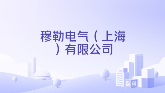 穆勒电气（上海）有限公司