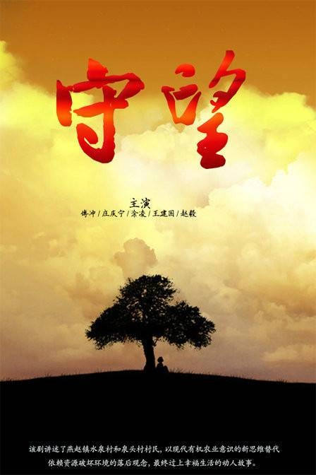 守望（2013年郑泉宝执导的乡村电视剧）