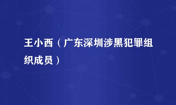 王小西（广东深圳涉黑犯罪组织成员）