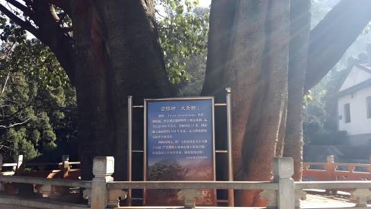 将军洞（中国云南省大理市境内的国家3A级景点）