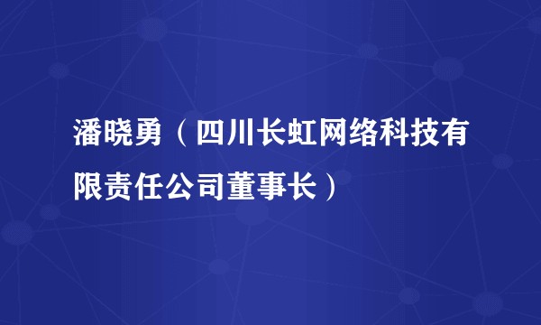 潘晓勇（四川长虹网络科技有限责任公司董事长）