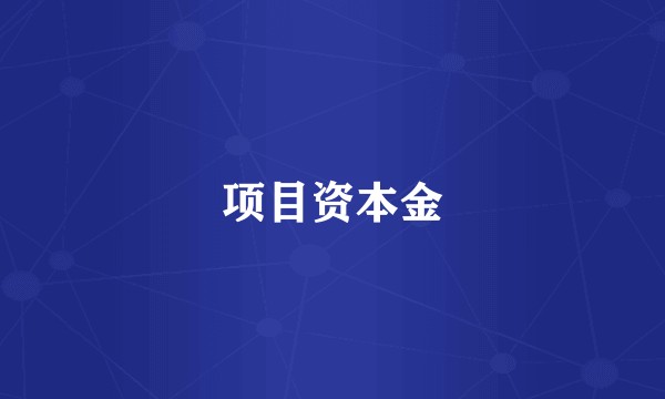 项目资本金