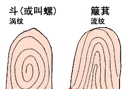 手指斗