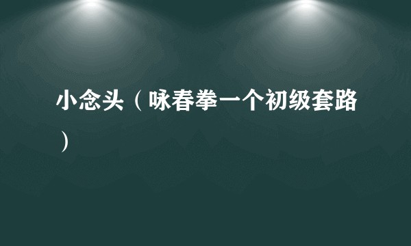 小念头（咏春拳一个初级套路）