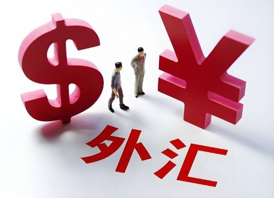 外汇（外币或以外币表示的用于国际间债权债务结算的各种支付手段）