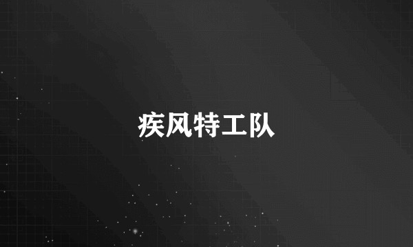 疾风特工队