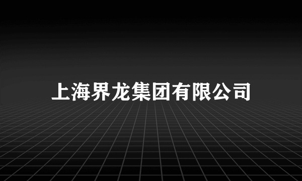 上海界龙集团有限公司