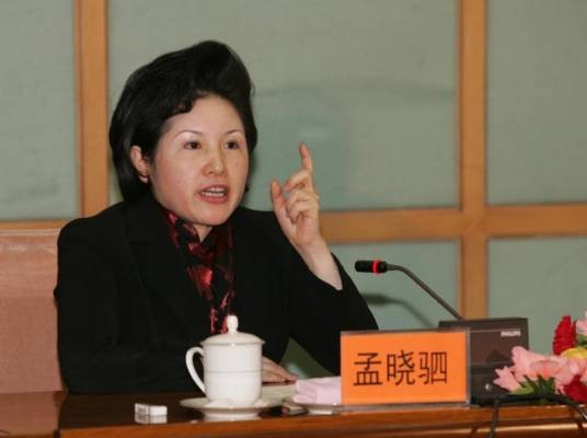 孟晓驷