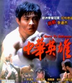 中华英雄（1988年李连杰自导演的电影）