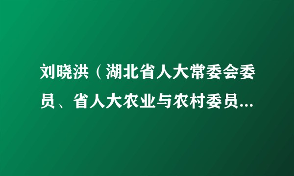 刘晓洪（湖北省人大常委会委员、省人大农业与农村委员会副主任委员（正厅级））