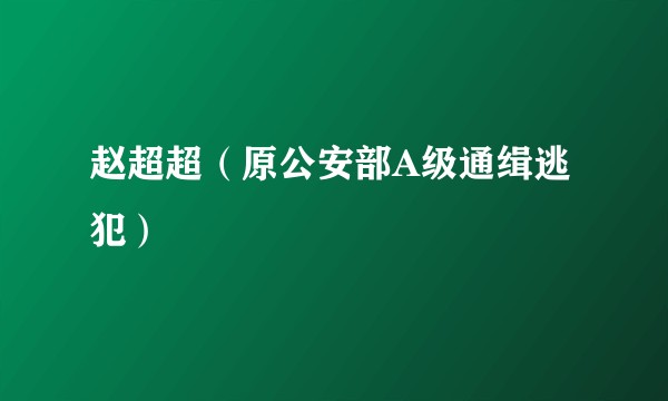赵超超（原公安部A级通缉逃犯）