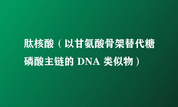 肽核酸（以甘氨酸骨架替代糖磷酸主链的 DNA 类似物）