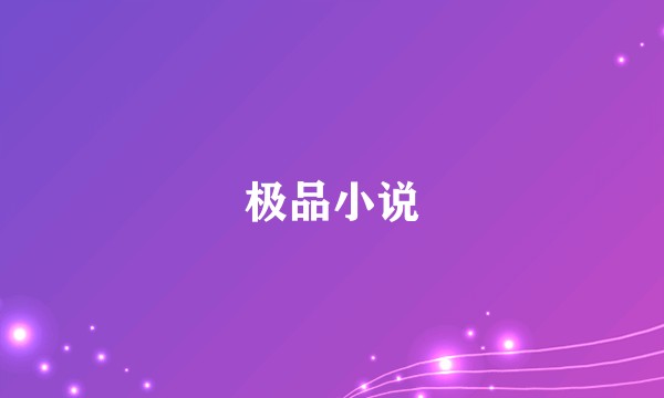 极品小说