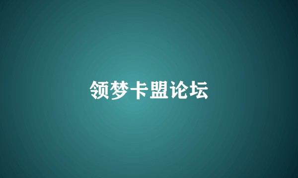 领梦卡盟论坛