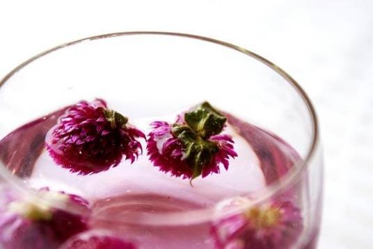 红花茶