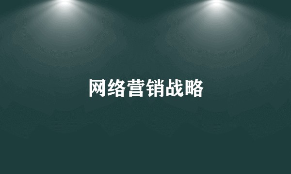 网络营销战略