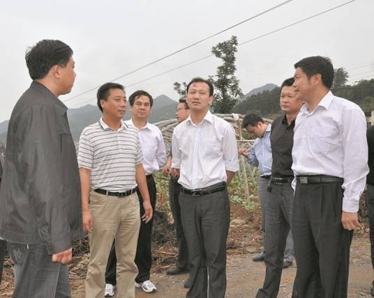 杨华林（湖北农发集团党委委员、副总经理）