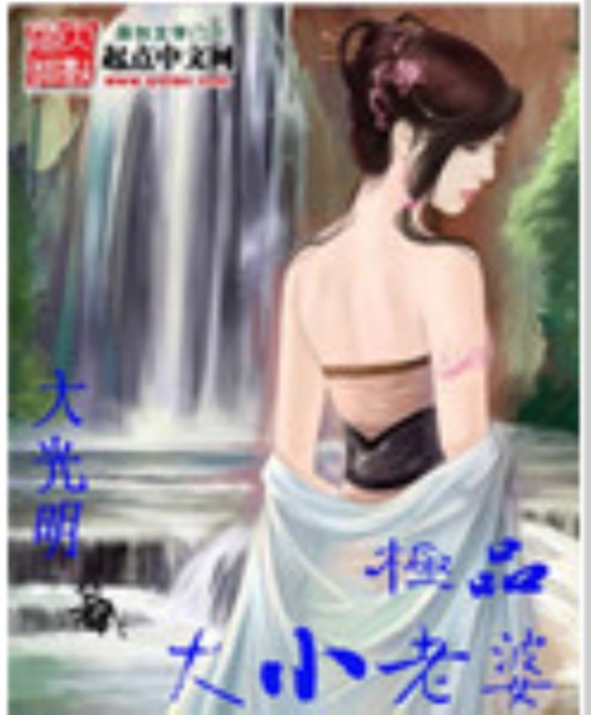 极品大小老婆