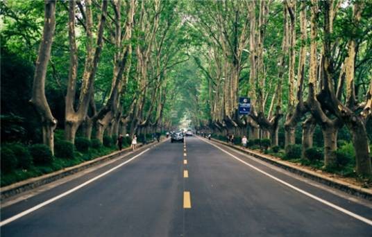 陵园路（南京市玄武区紫金山南麓道路）