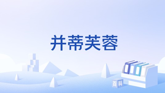 并蒂芙蓉（词牌名）
