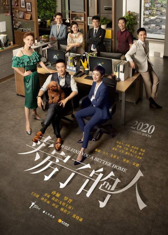 安家（2020年孙俪、罗晋主演的现实主义都市剧）