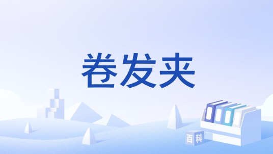卷发夹