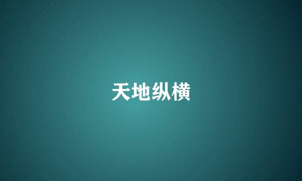 天地纵横